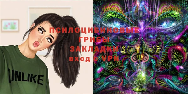 ПСИЛОЦИБИНОВЫЕ ГРИБЫ Волосово