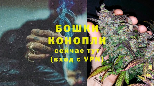 ПСИЛОЦИБИНОВЫЕ ГРИБЫ Волосово
