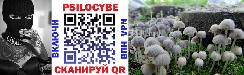 OMG вход  Долгопрудный  Псилоцибиновые грибы Cubensis 